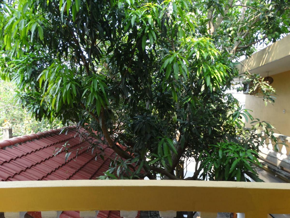 Yellow House Homestay Χόι Αν Εξωτερικό φωτογραφία